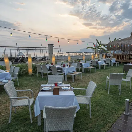 Michell (adults Only) 5*